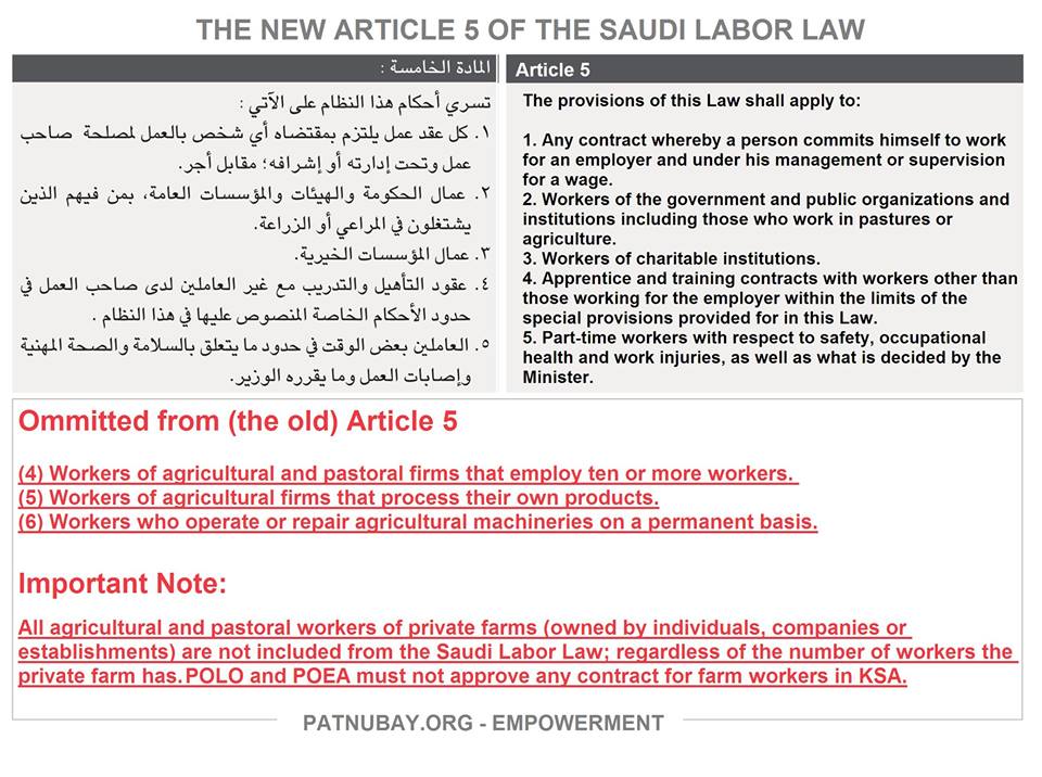 Anong meaning ng essay picture